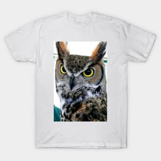 Great Horned Owl Bird Of Prey T-Shirt